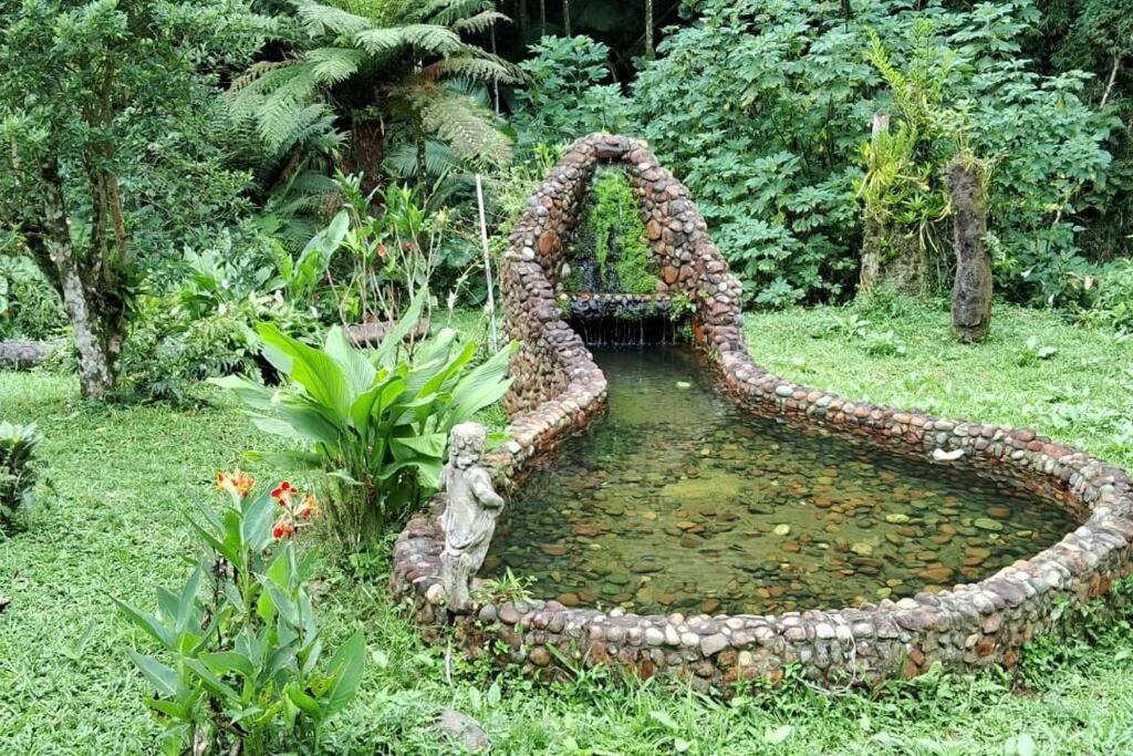 Sitio Som Das Aguas Benedito Novo Exterior foto