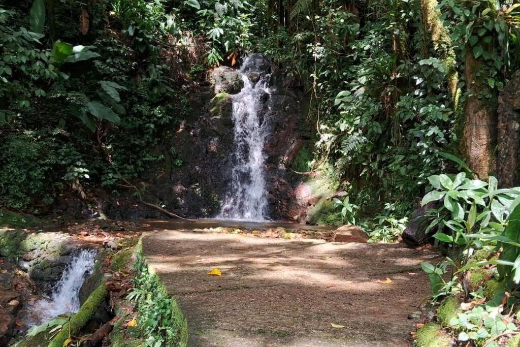Sitio Som Das Aguas Benedito Novo Exterior foto
