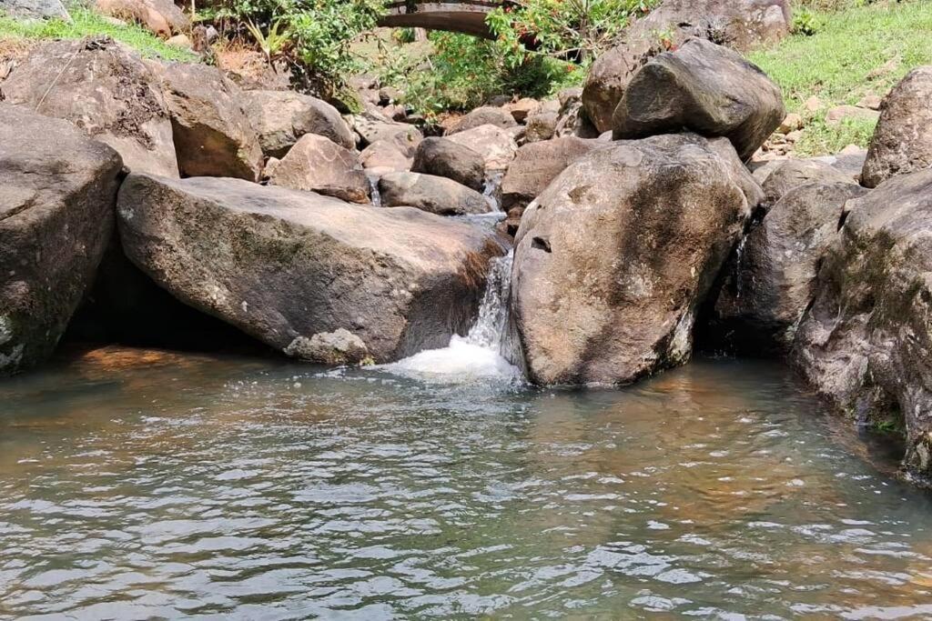 Sitio Som Das Aguas Benedito Novo Exterior foto