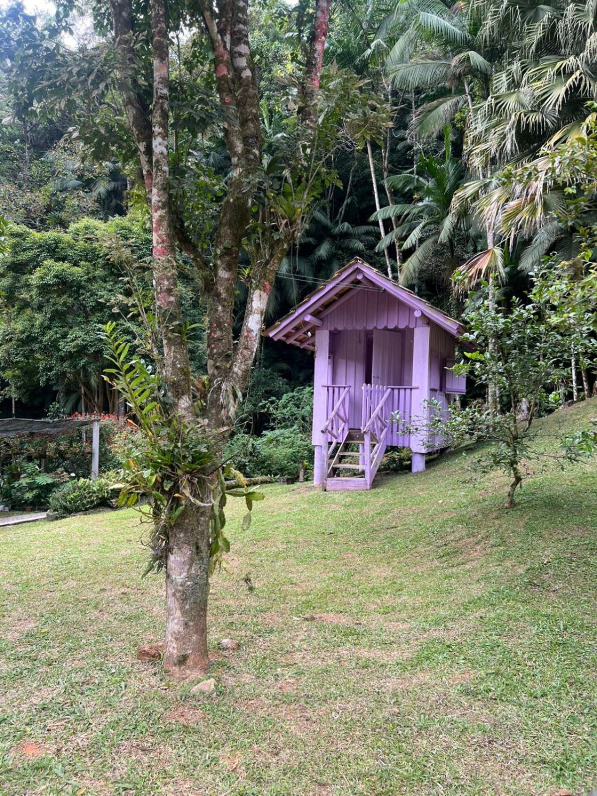 Sitio Som Das Aguas Benedito Novo Exterior foto
