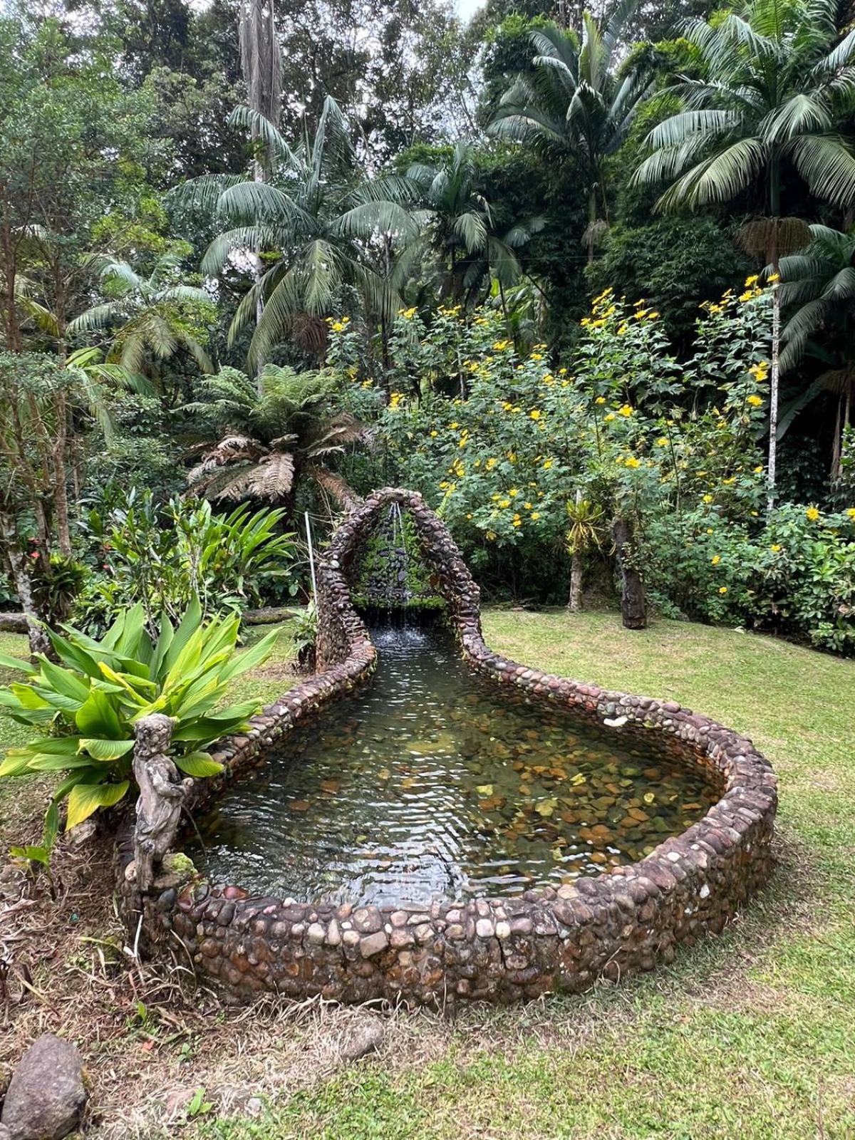 Sitio Som Das Aguas Benedito Novo Exterior foto