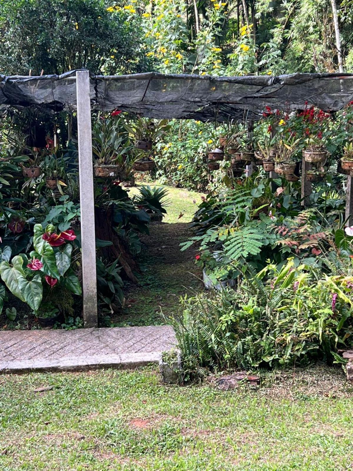 Sitio Som Das Aguas Benedito Novo Exterior foto